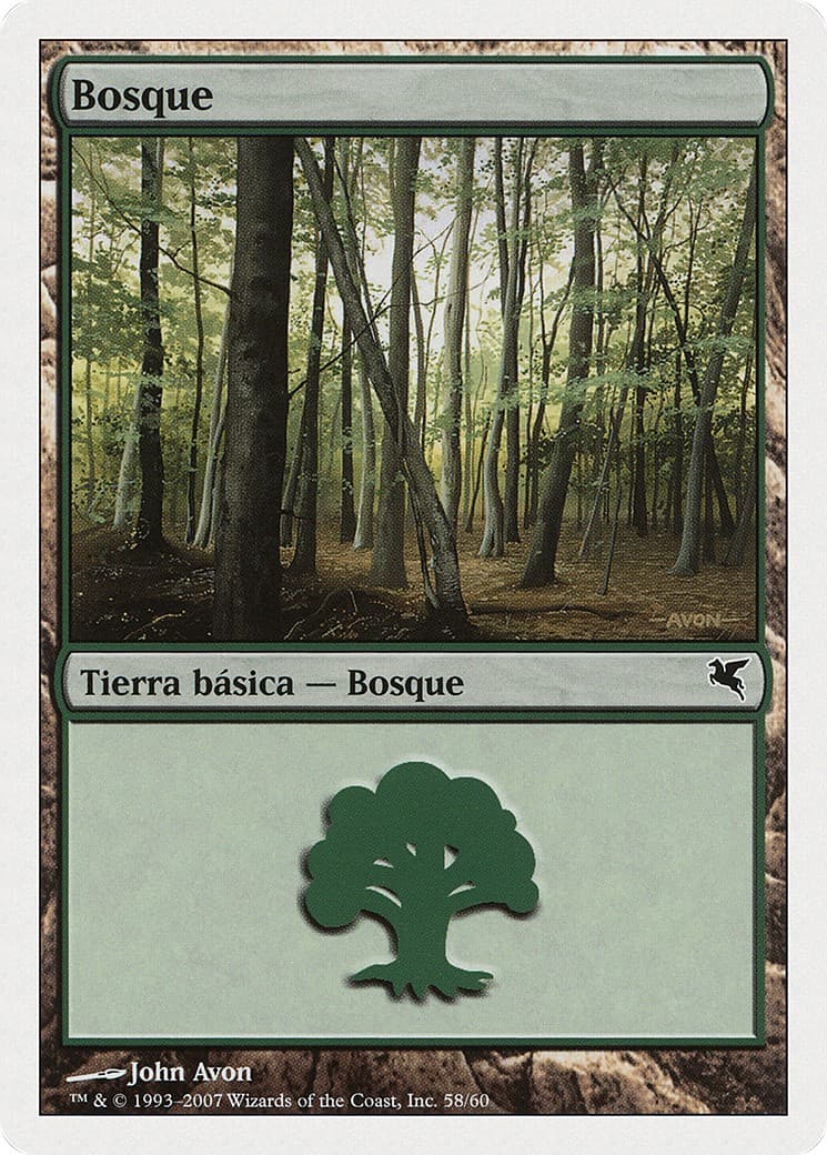 Forest - Image 1