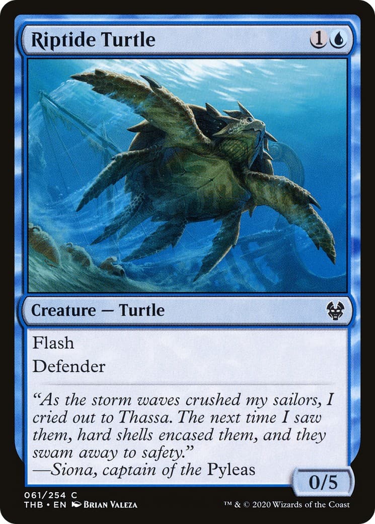 Riptide Turtle - Image 1