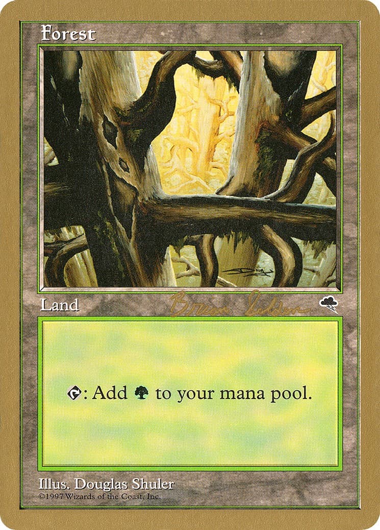 Forest - Image 1