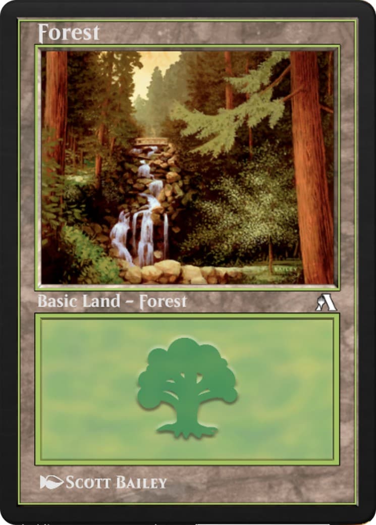 Forest - Image 1