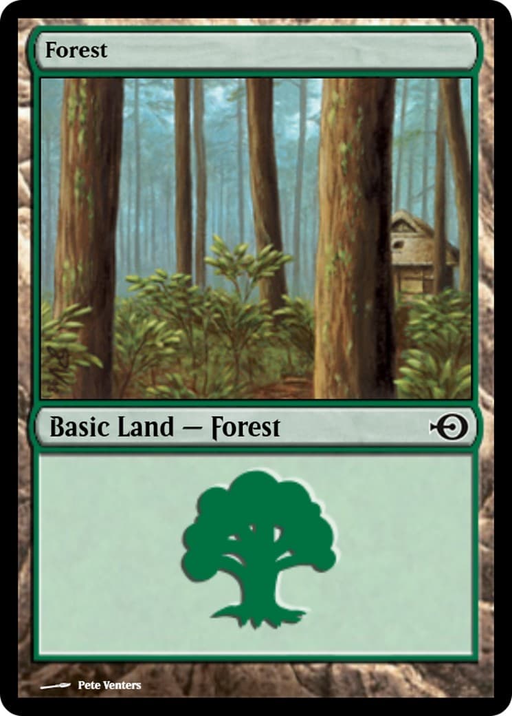 Forest - Image 1