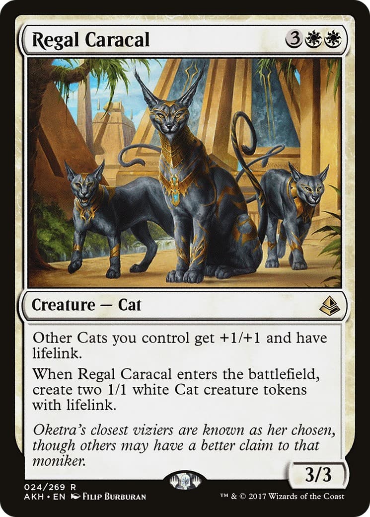 Regal Caracal - Image 1
