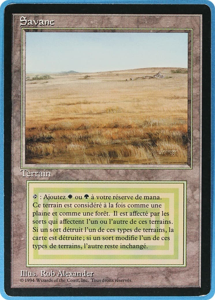 Savannah - Image 1