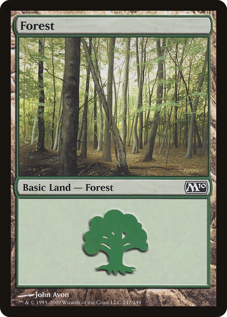 Forest - Image 1