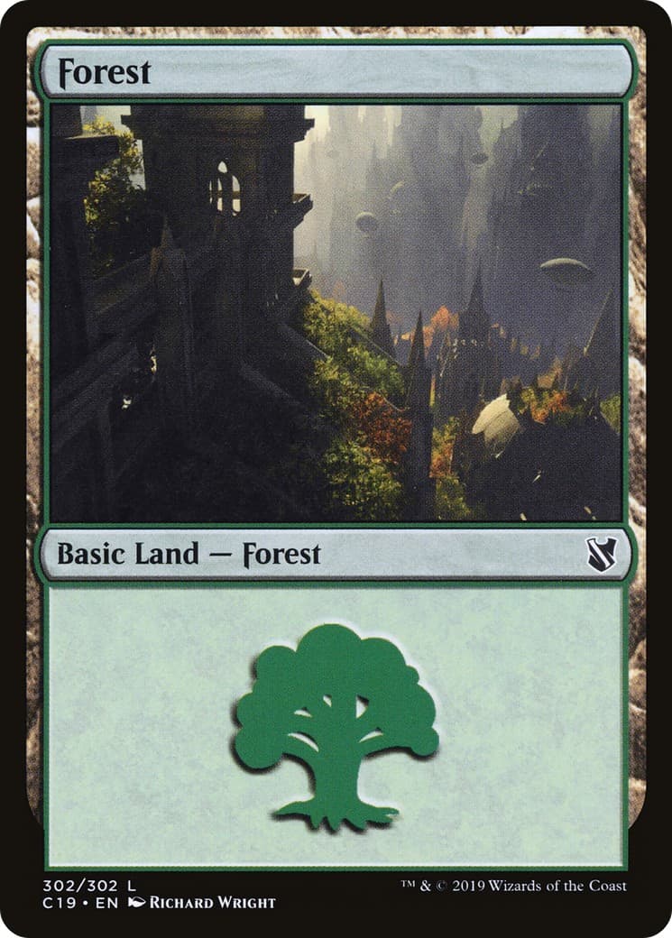 Forest - Image 1