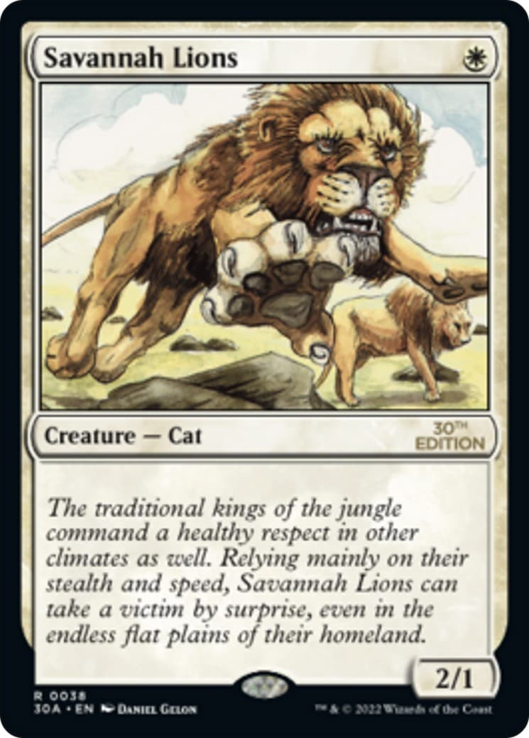 Savannah Lions - Image 1