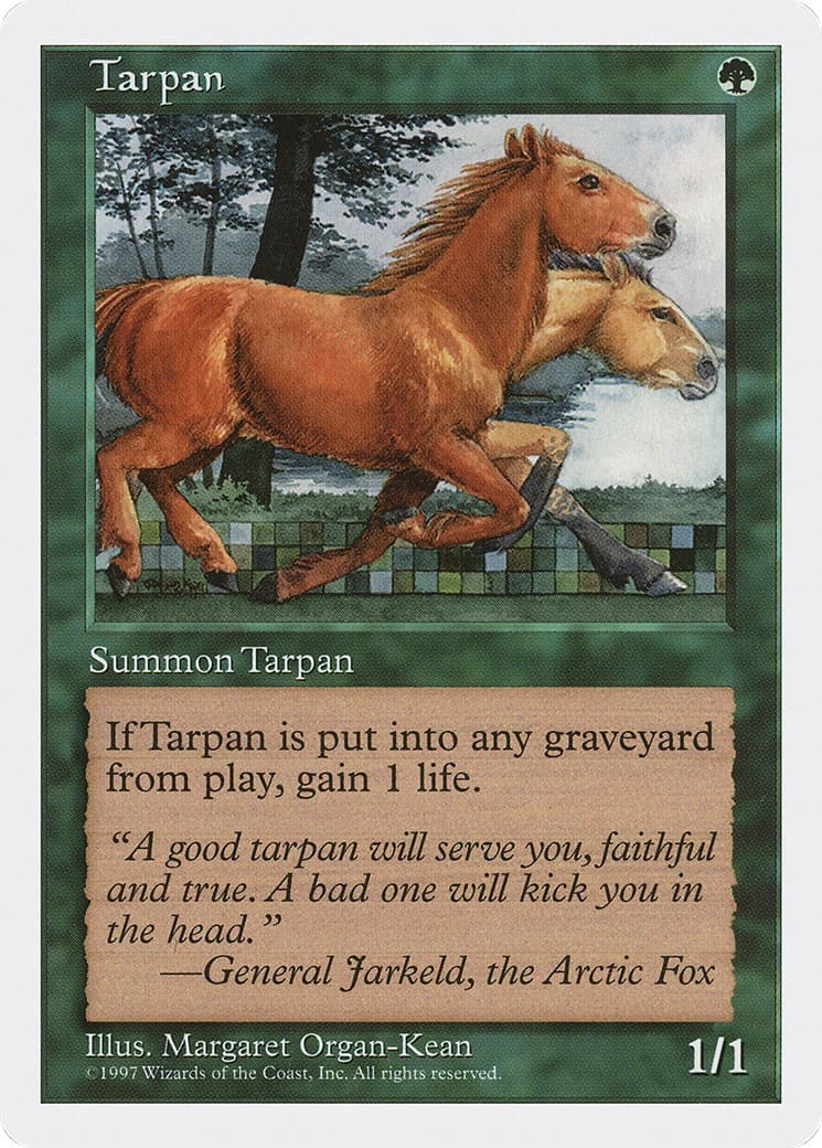Tarpan - Image 1