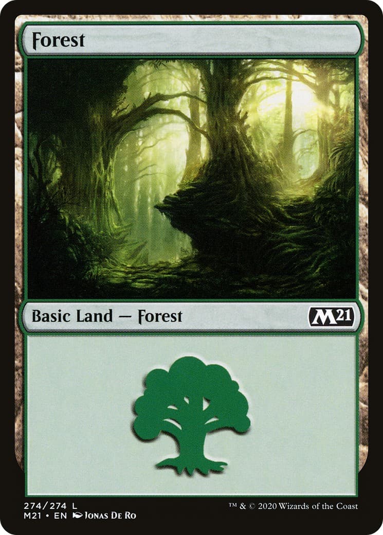 Forest - Image 1