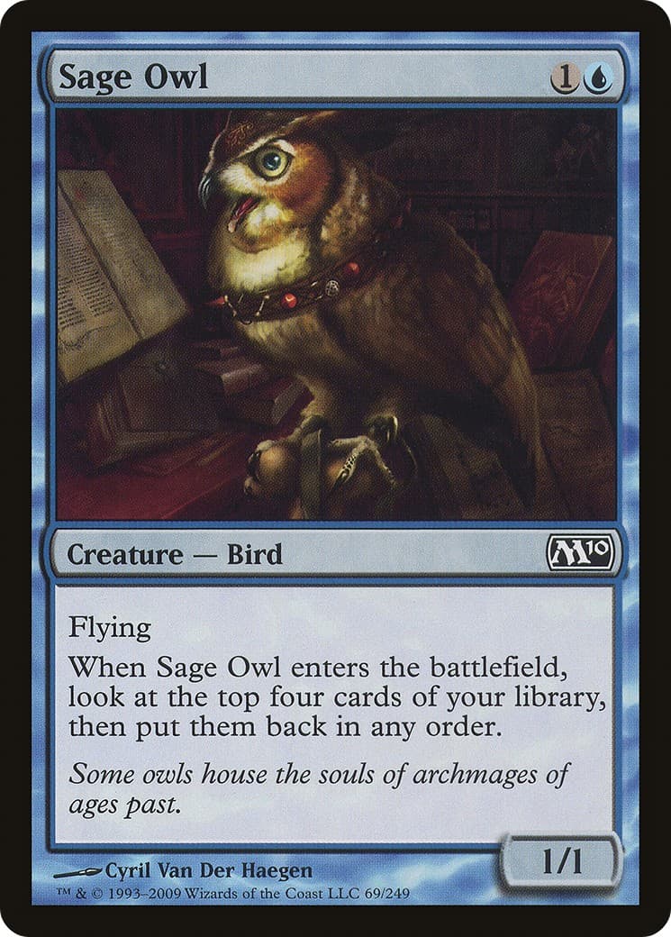 Sage Owl - Image 1