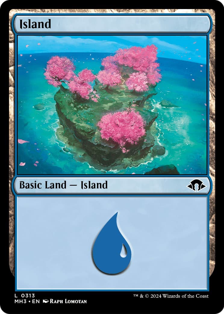 Island - Image 1