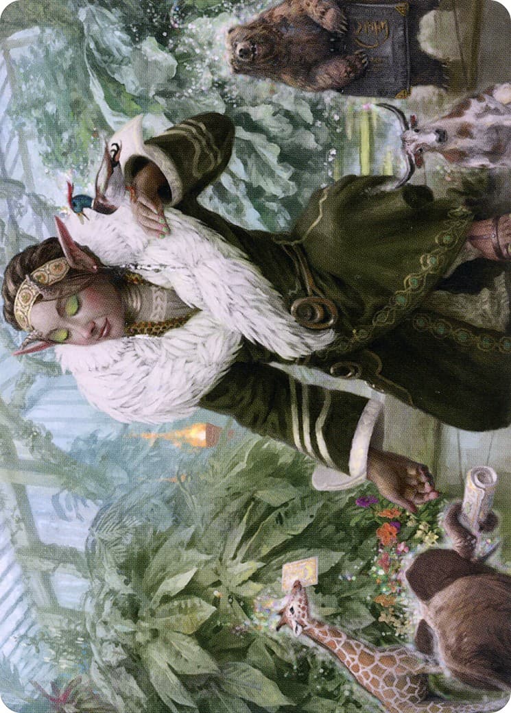 Rumor Gatherer // Rumor Gatherer - Image 1