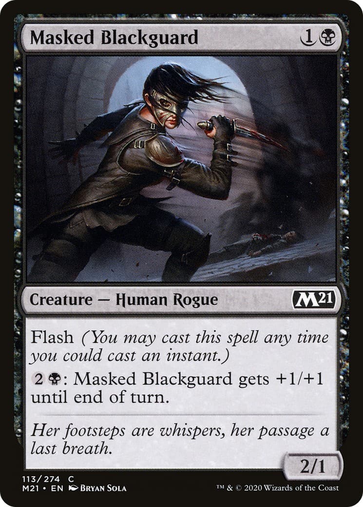 Masked Blackguard - Image 1