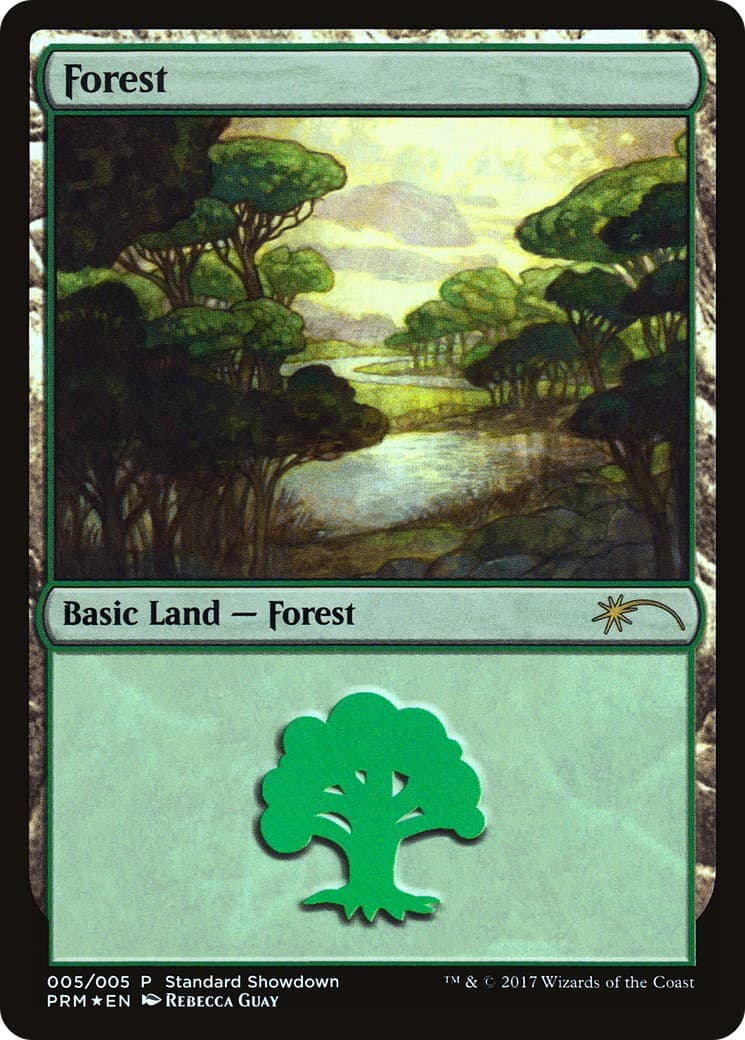 Forest - Image 1