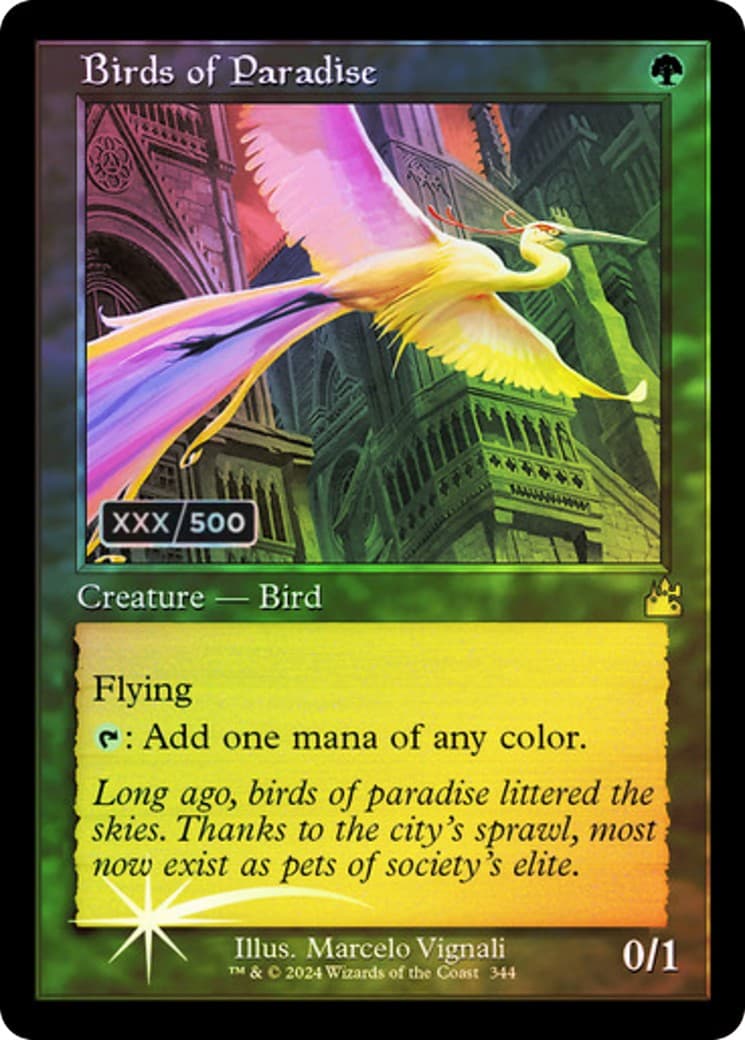 Birds of Paradise - Image 1