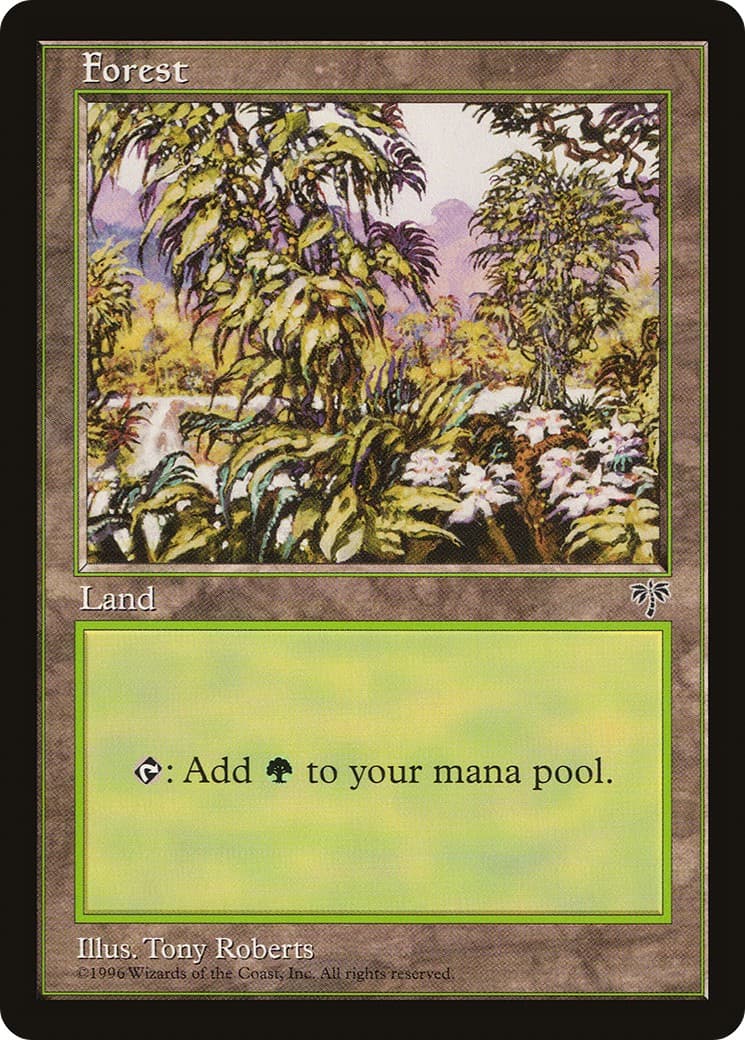 Forest - Image 1