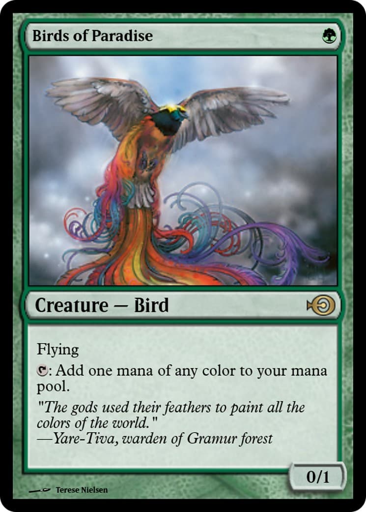 Birds of Paradise - Image 1