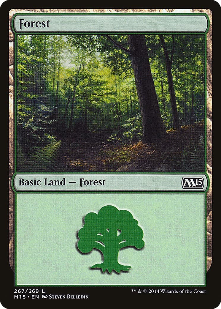Forest - Image 1