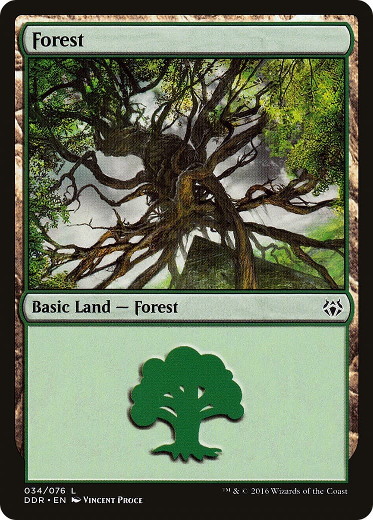 Forest - Image 1