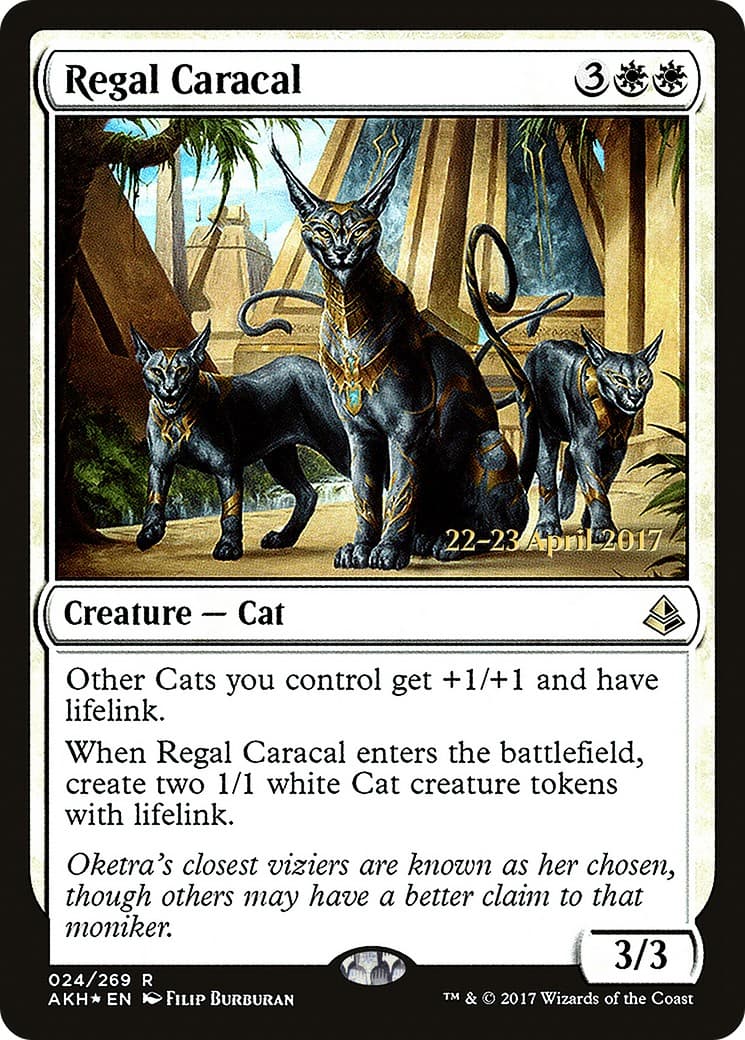 Regal Caracal - Image 1