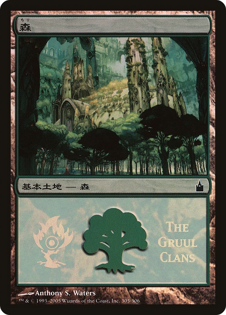 Forest - Image 1