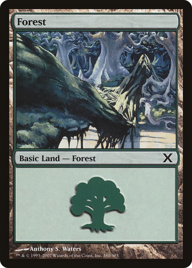 Forest - Image 1