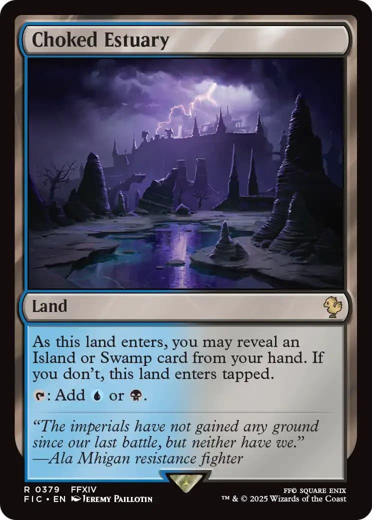 Choked Estuary - Image 1