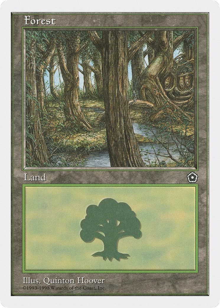 Forest - Image 1