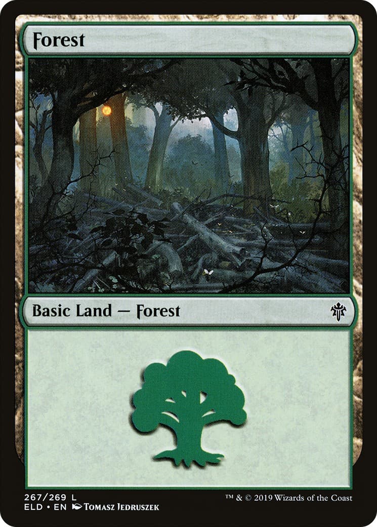 Forest - Image 1