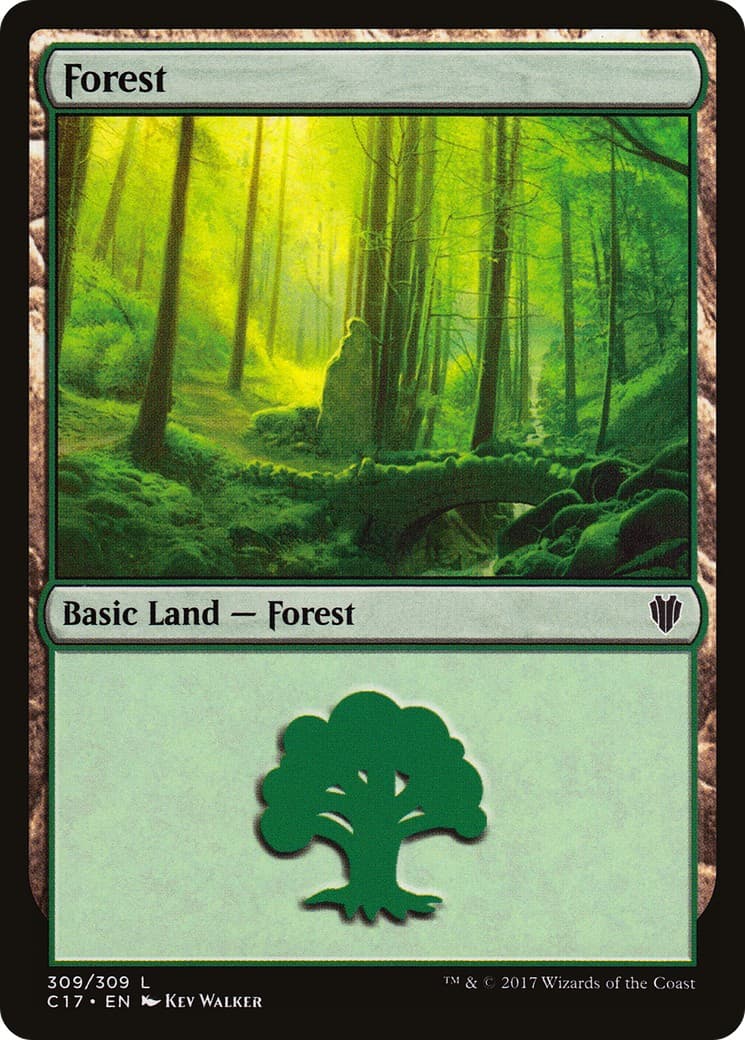 Forest - Image 1