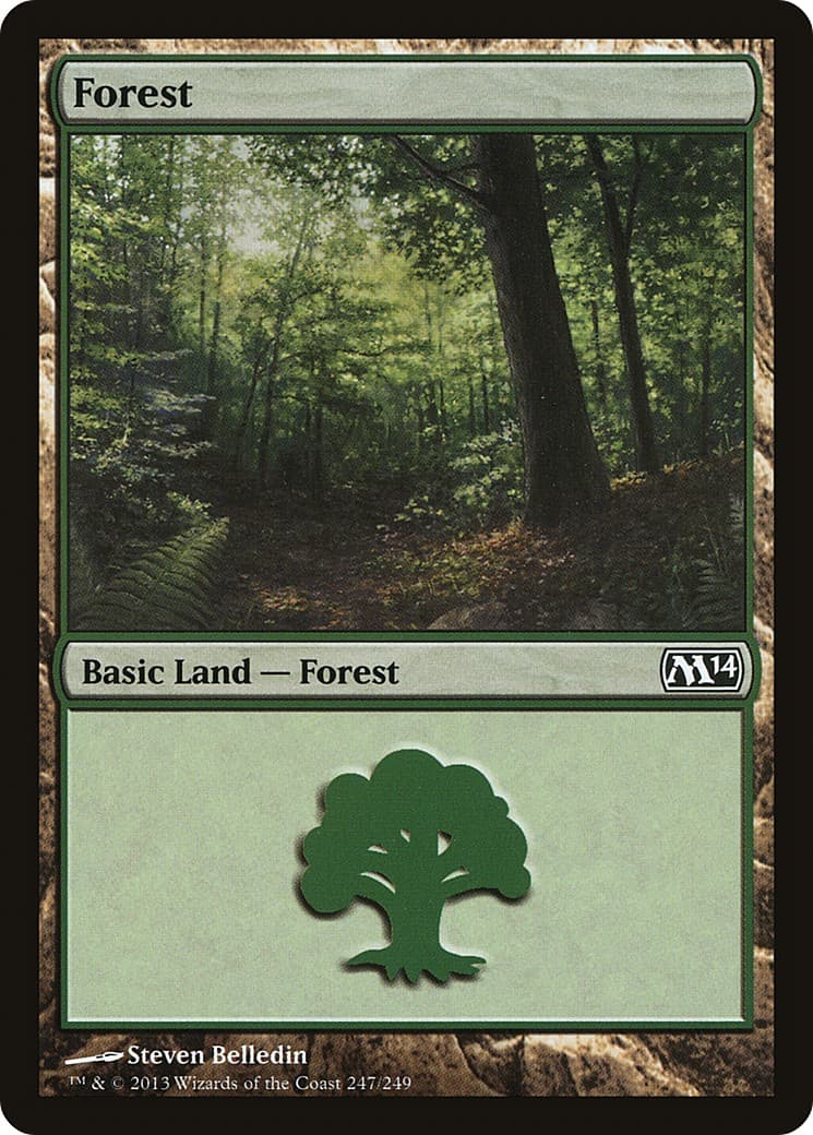 Forest - Image 1