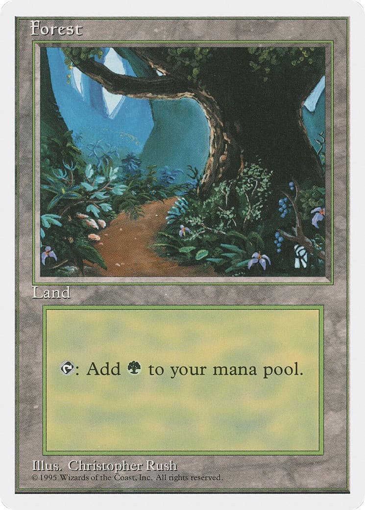 Forest - Image 1