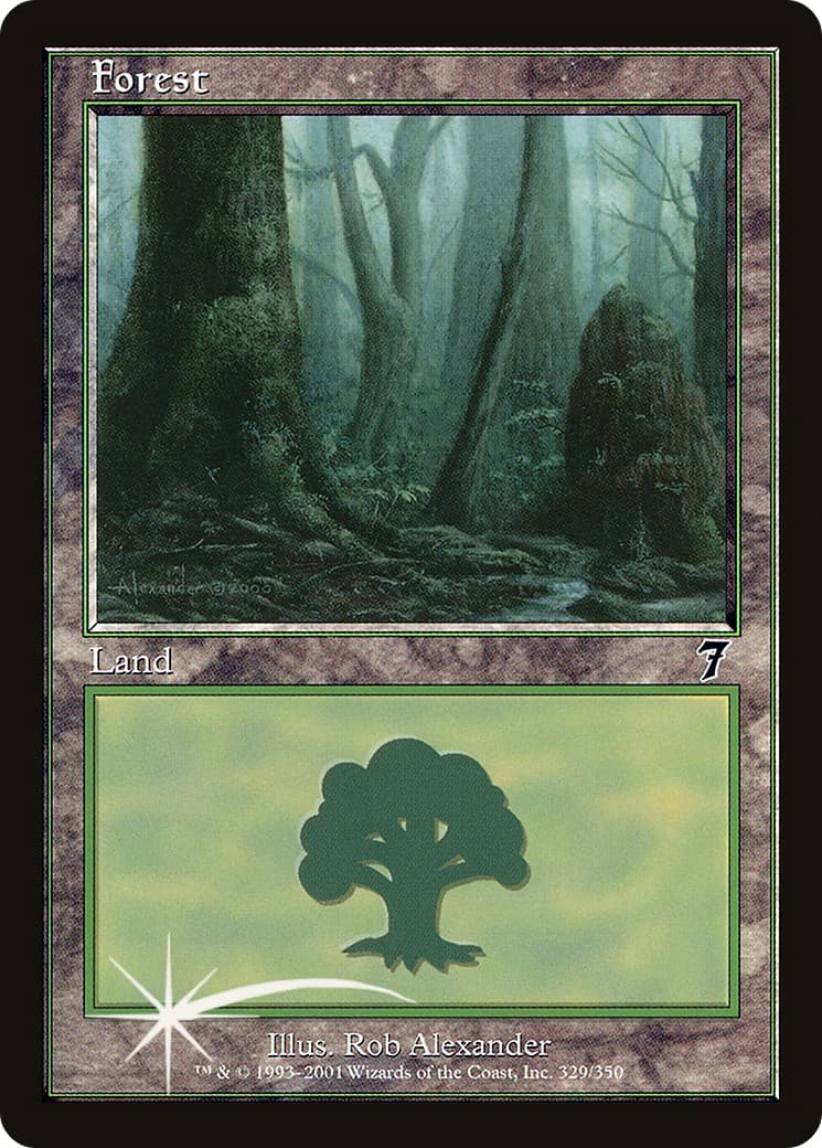 Forest - Image 1