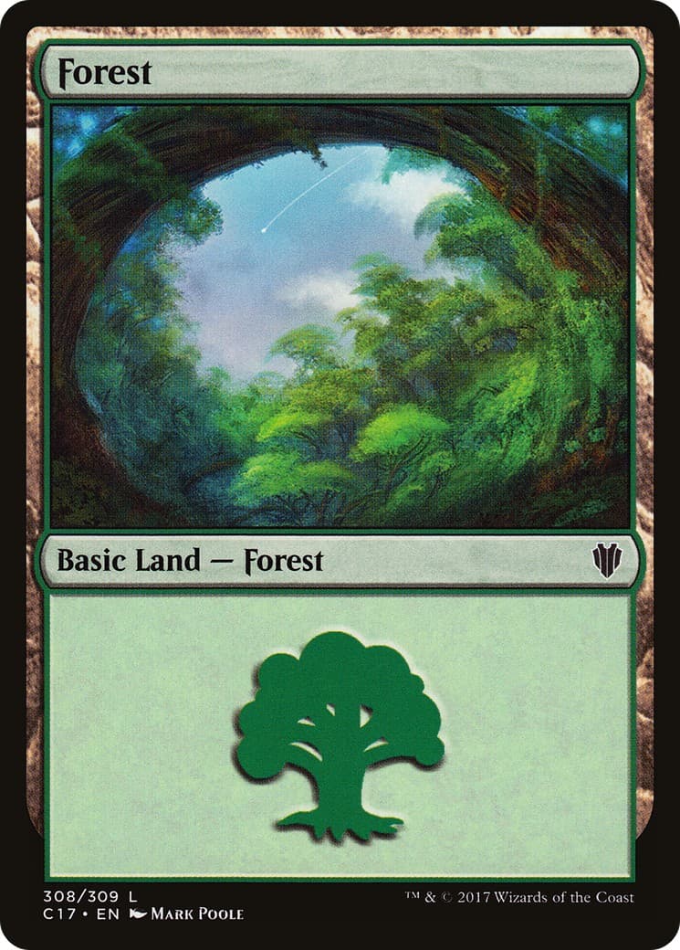 Forest - Image 1