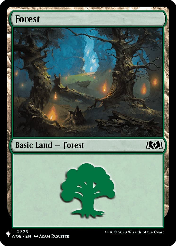 Forest - Image 1