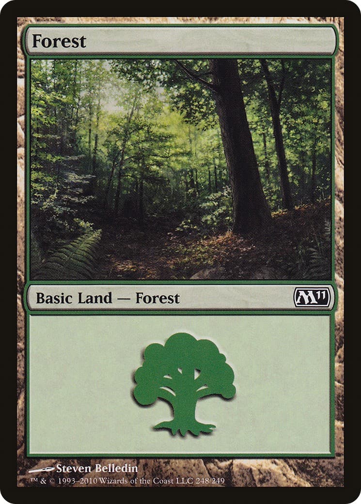 Forest - Image 1