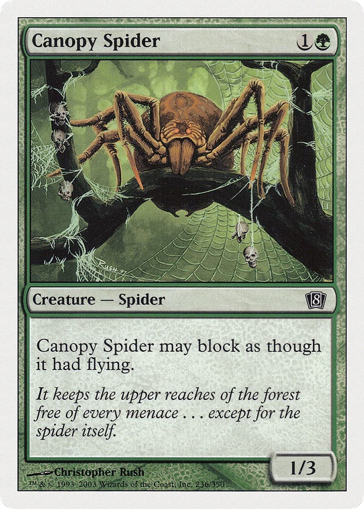 Canopy Spider - Image 1
