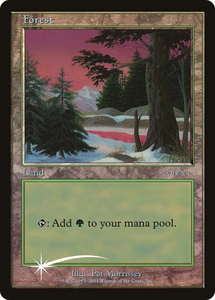 Forest - Image 1