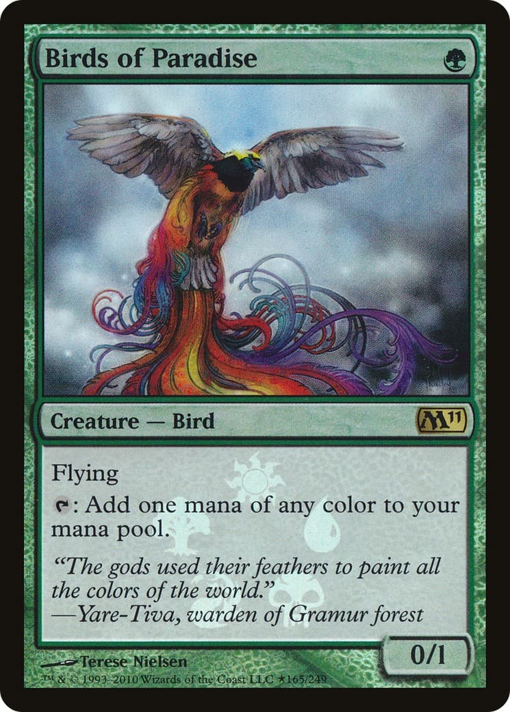 Birds of Paradise - Image 1