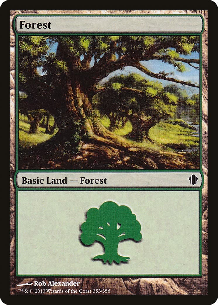 Forest - Image 1