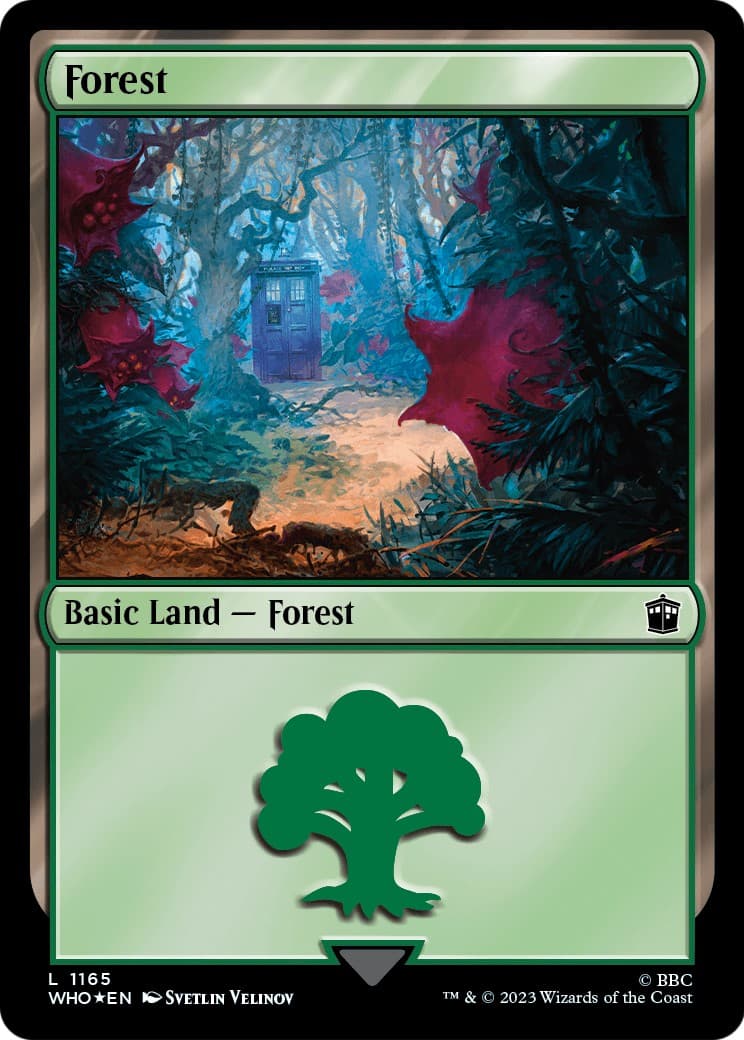 Forest - Image 1