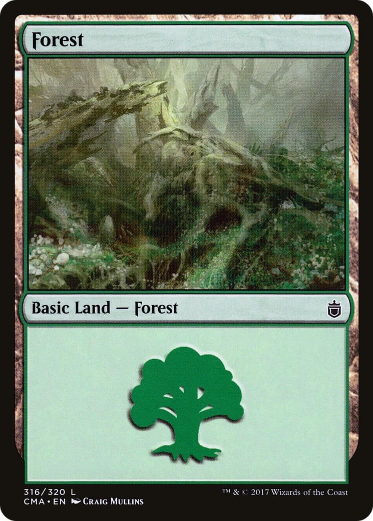 Forest - Image 1