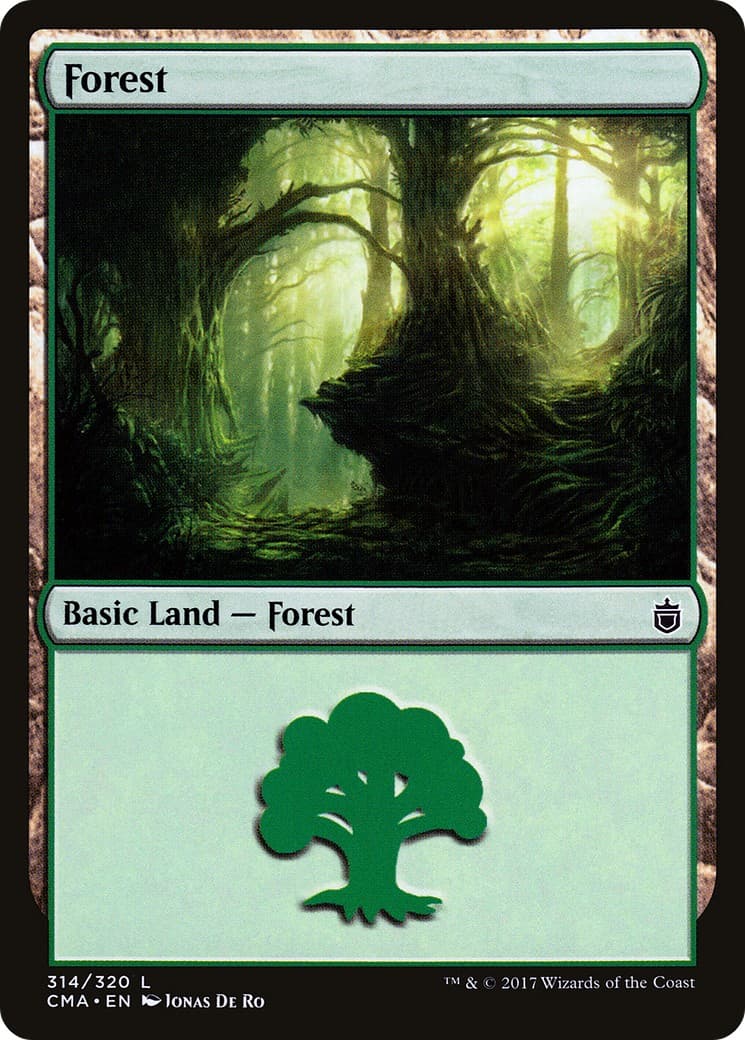 Forest - Image 1