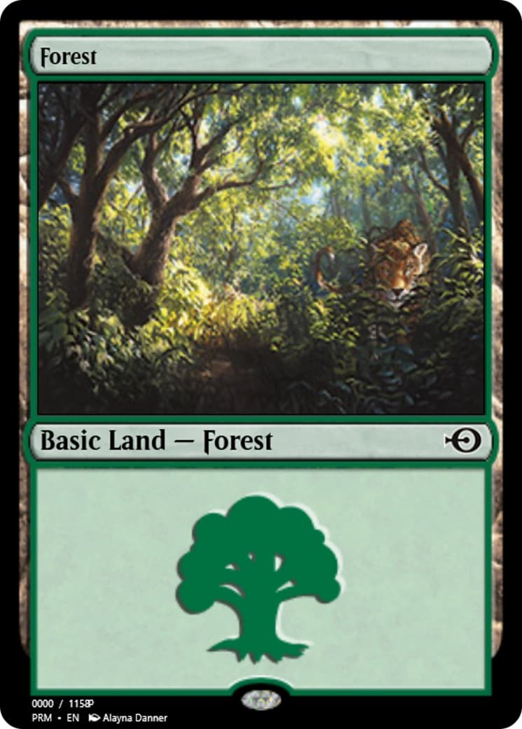 Forest - Image 1