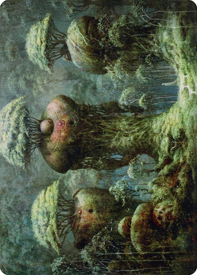 Forest // Forest - Image 1