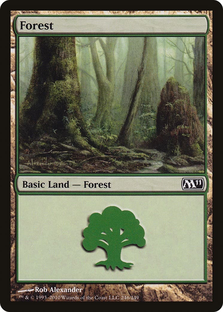 Forest - Image 1