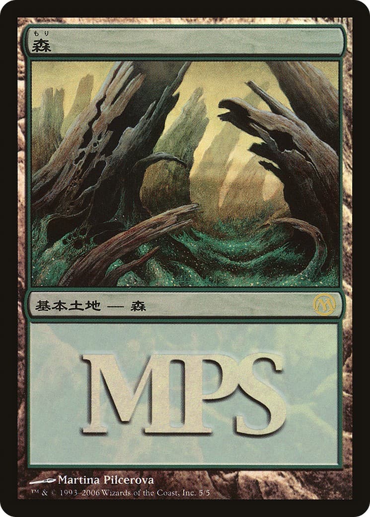Forest - Image 1