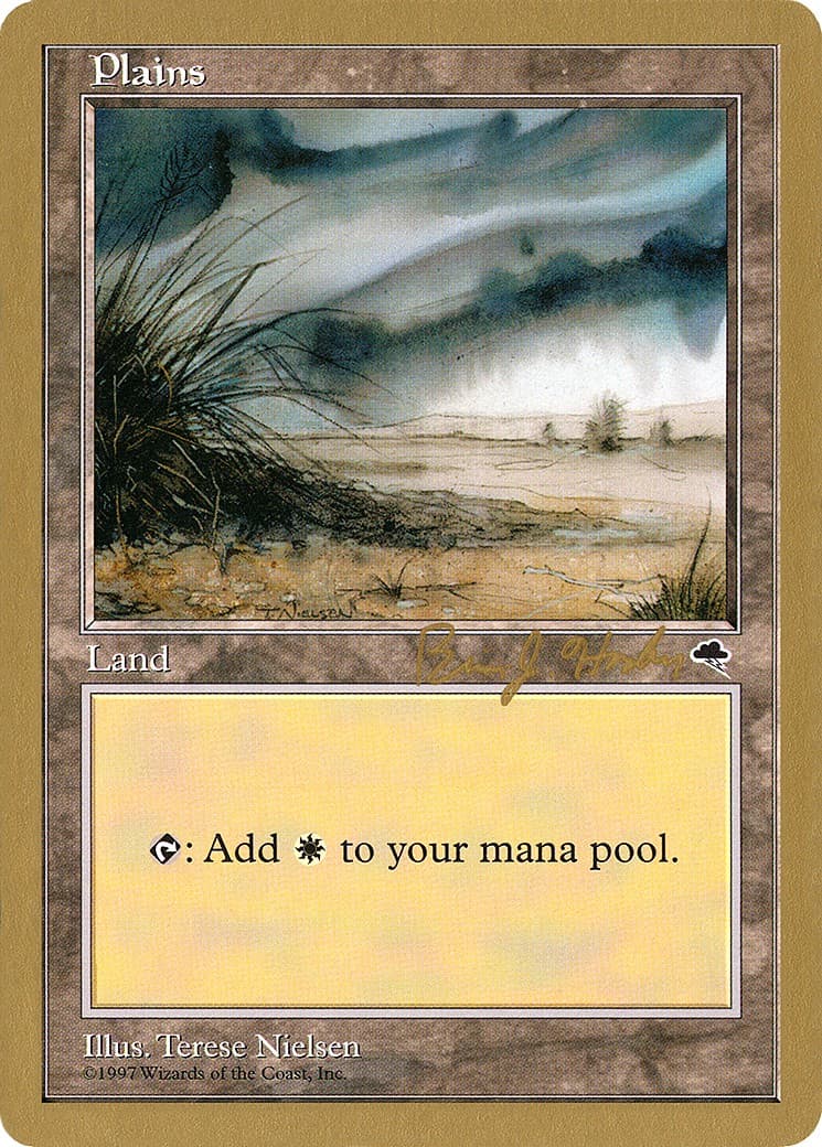 Plains - Image 1