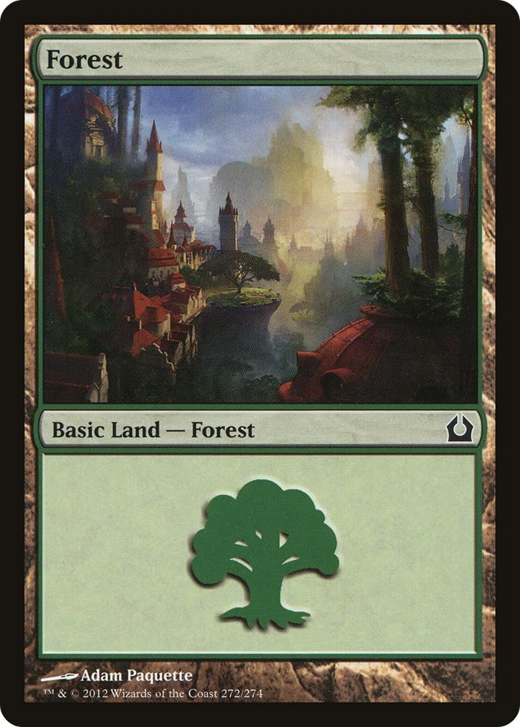 Forest - Image 1