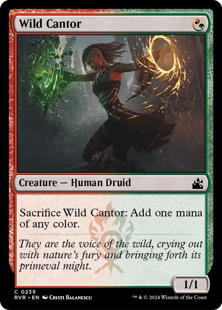 Wild Cantor - Image 1