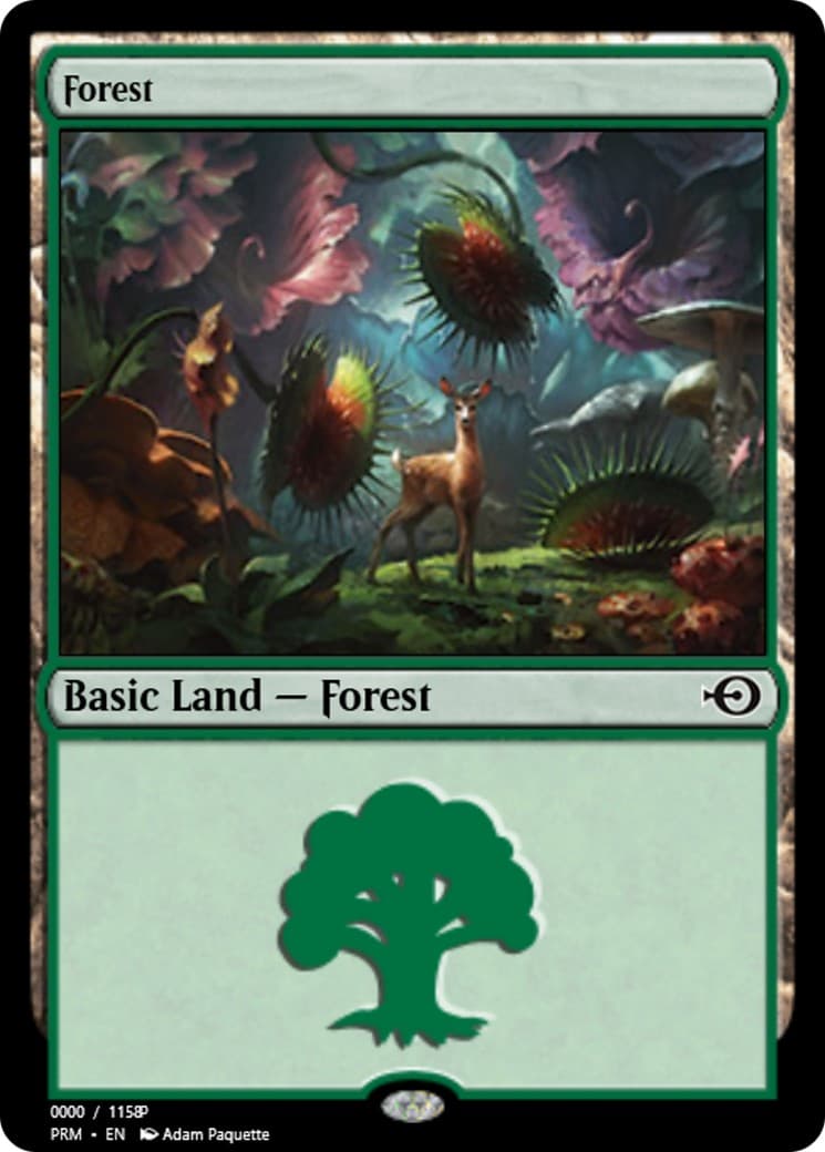 Forest - Image 1